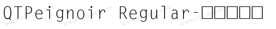 QTPeignoir Regular字体转换